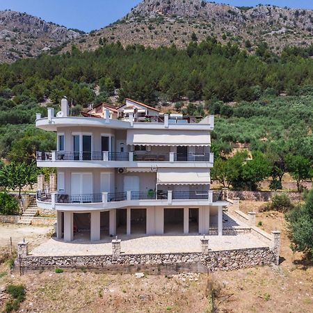 شقة Pigeon House بلاتاريا المظهر الخارجي الصورة